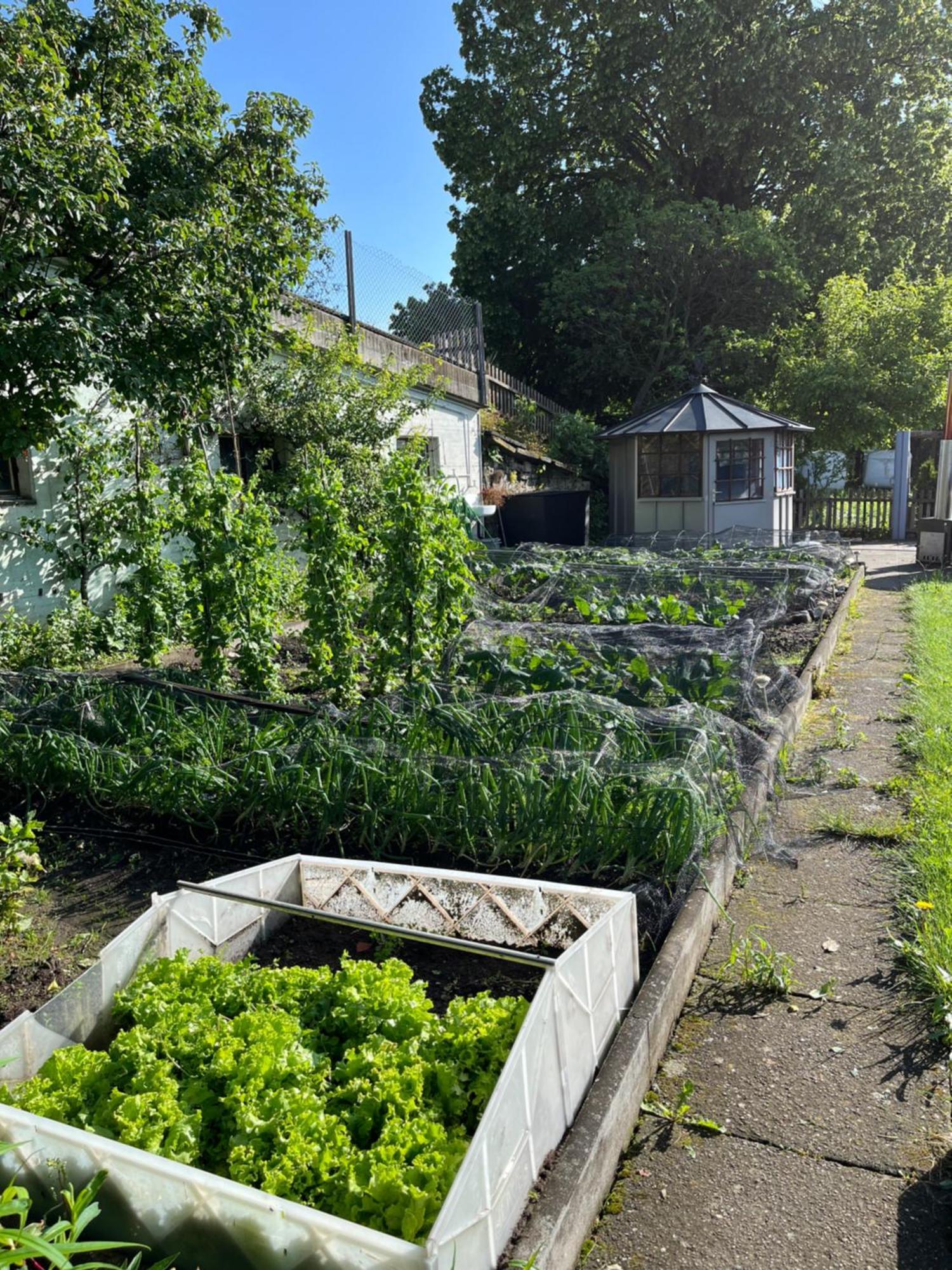 Ferienwohnung Auf Bauernhof Mit Hotpot Und Sauna Sumiswald Dış mekan fotoğraf